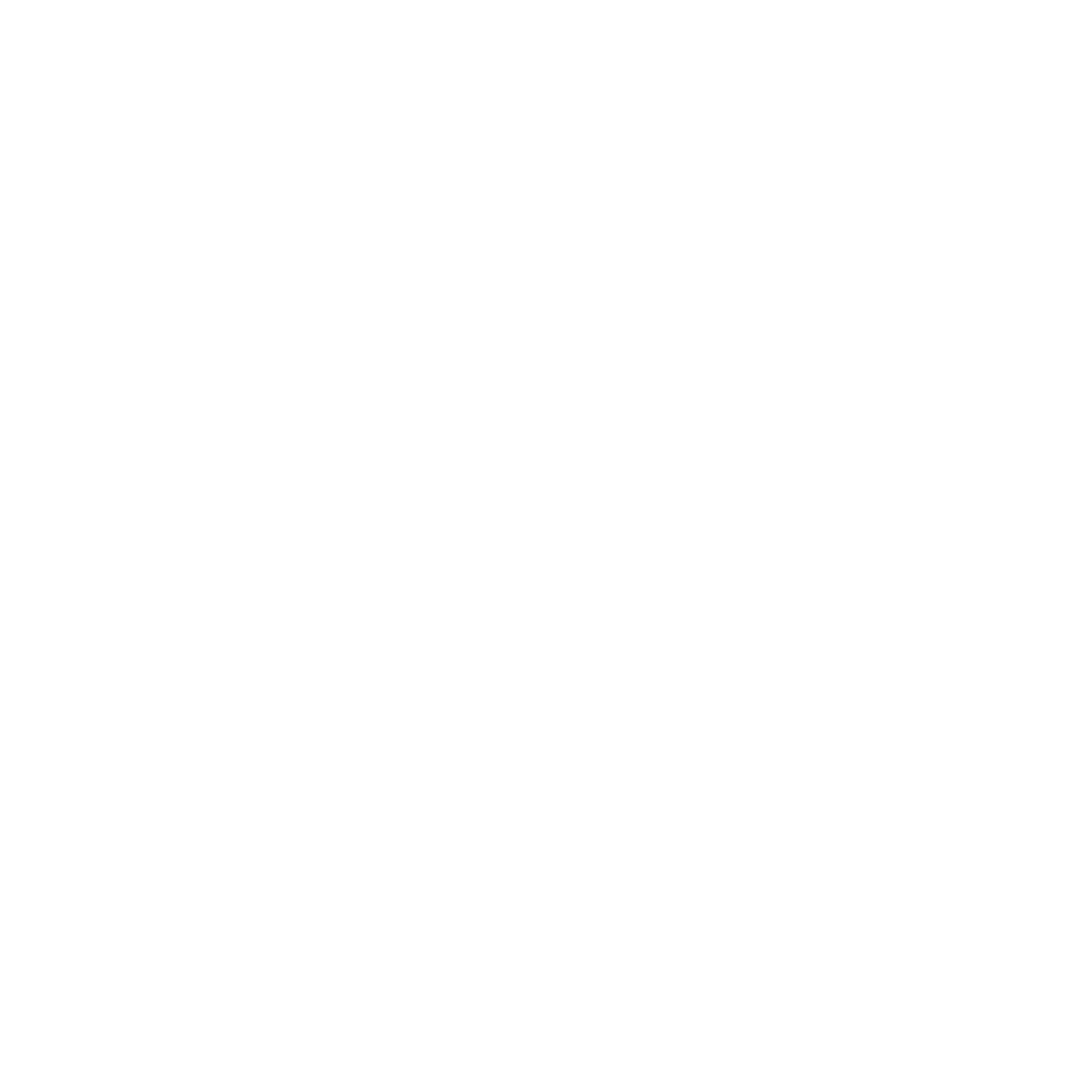 BraSaaS